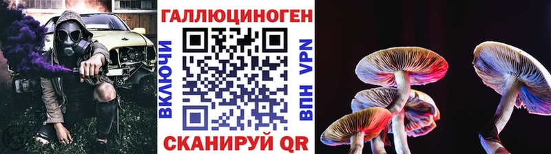 Галлюциногенные грибы Psilocybine cubensis  Купить где  Орехово-Зуево 